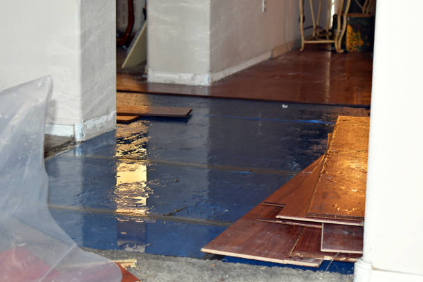 Professional Burst Pipe Cleanup technician working in Rochester, WA