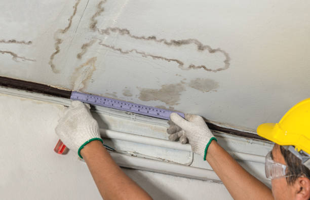 Reliable Burst Pipe Cleanup contractor in Rochester, WA by Water Damage Irwin